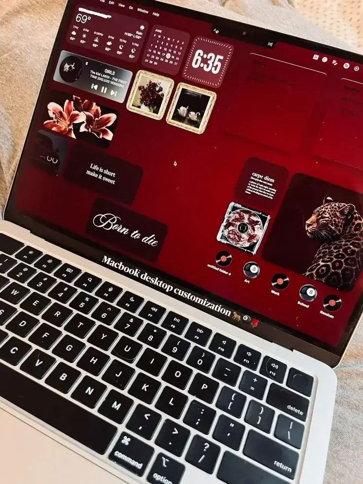 Creative MacBook desktop customization and visual UI design portfolio showcase by graphic designer Nitasha J.